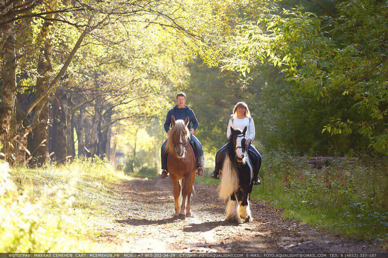 Семейные прогулки на лошадях: моменты радости для всех